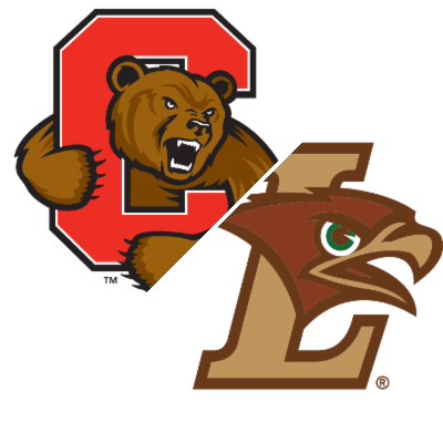 Lehigh drops away game to Cornell - The Brown and White