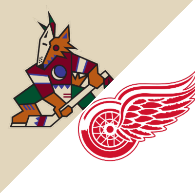 Detroit Red Wings – US Soccer Hall