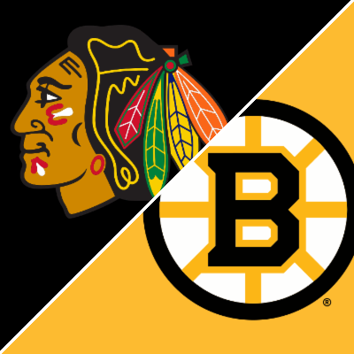 Chicago Blackhawks vs. Boston Bruins Unsigned 2013 Stanley Cup